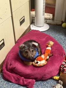 Chilling in the office 