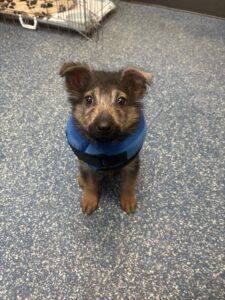 Posing in the office 