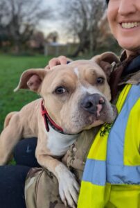 Having a cuddle with a volunteer