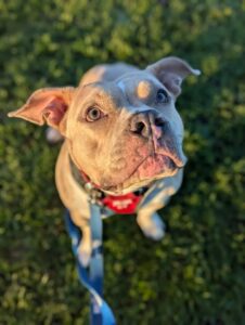 Posing for a picture