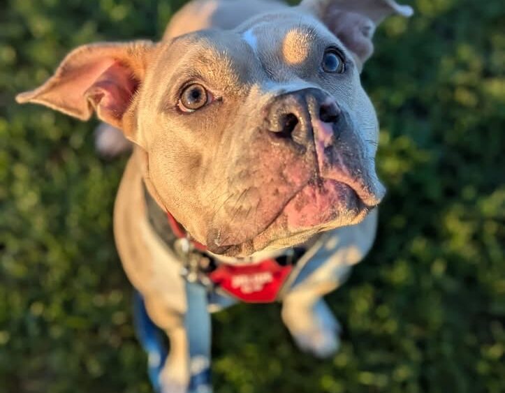 Posing for a picture