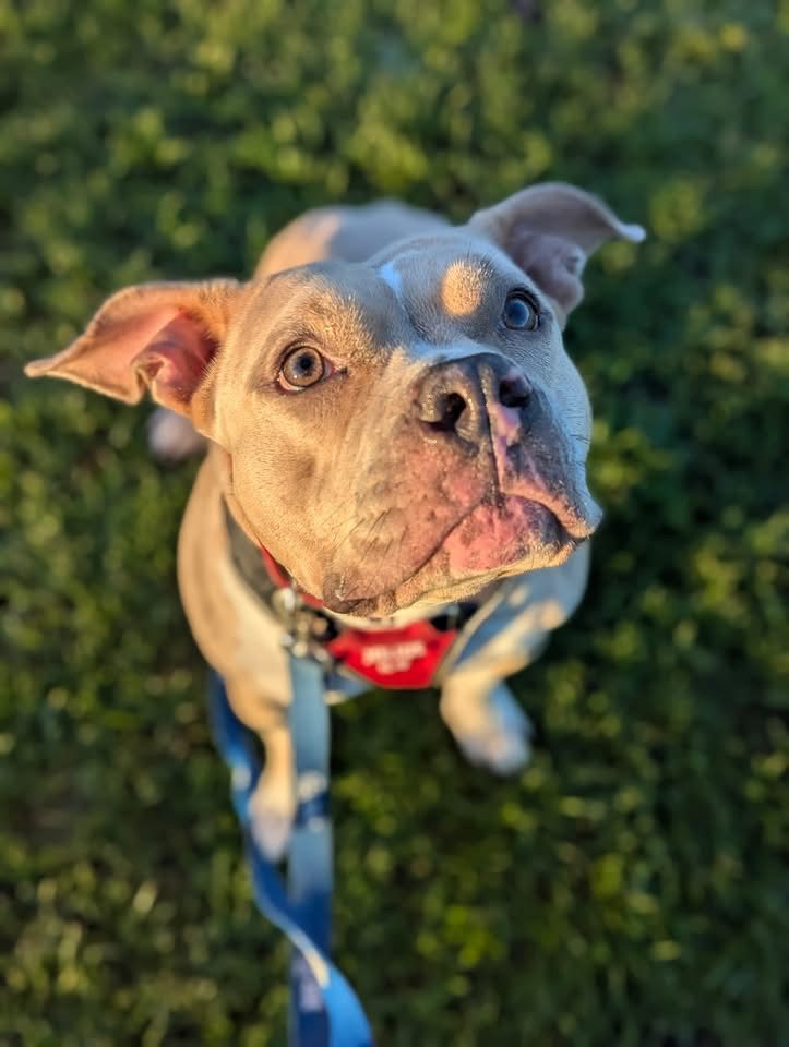 Posing for a picture