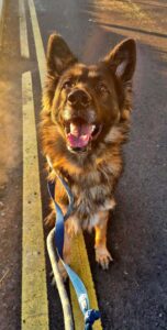 Lisa smiling in the sun