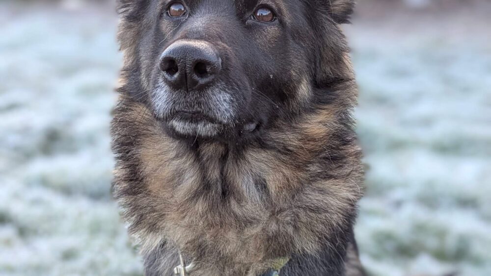 Lisa in the frosty weather