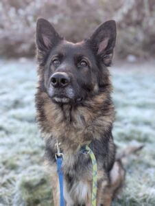 Lisa in the frosty weather