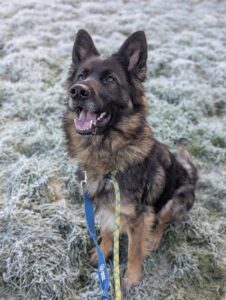 Lisa smiling for a picture 