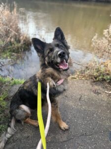 Lisa on a walk by the river 
