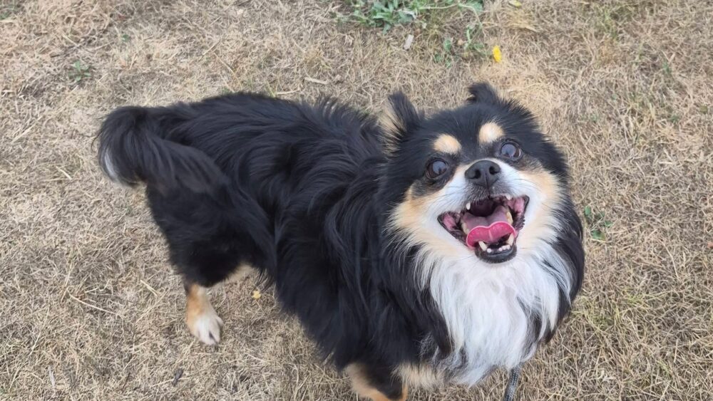 Gucci smiling