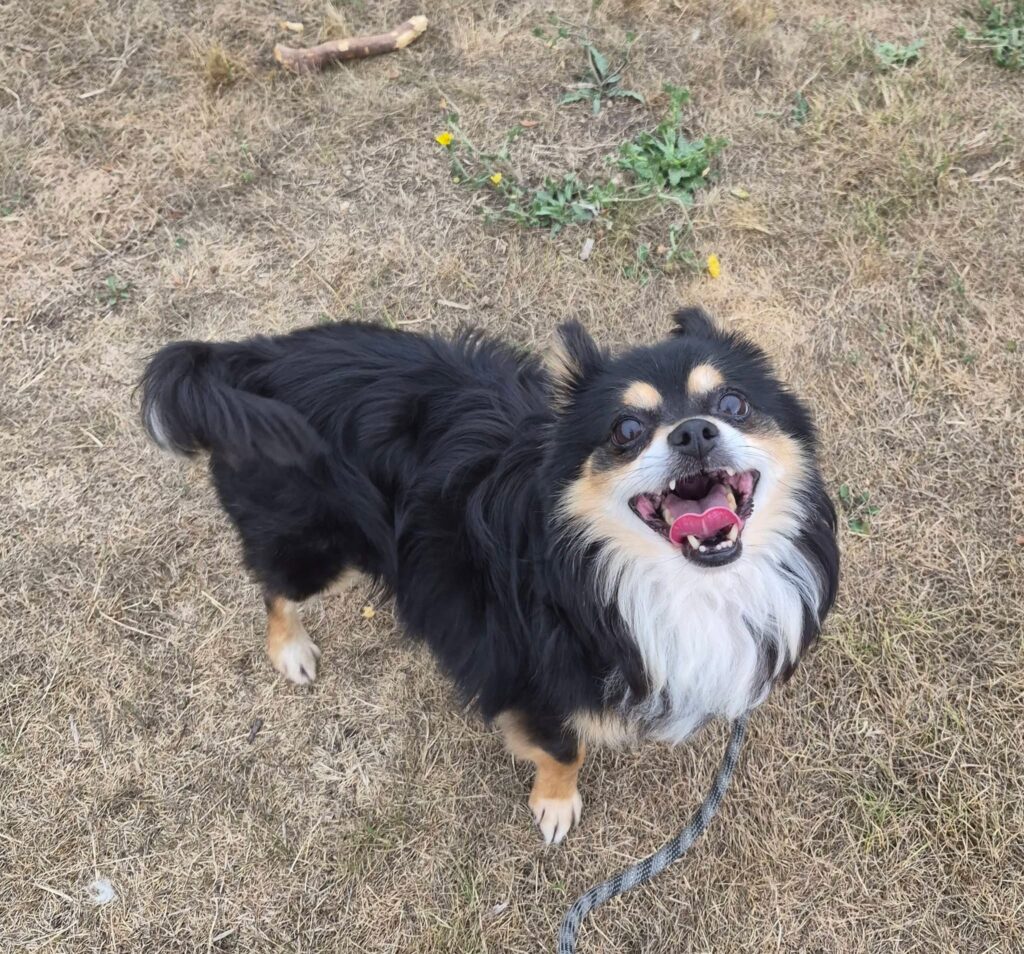 Gucci smiling