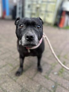 Look at my beautiful face 