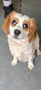 Posing for the camera 