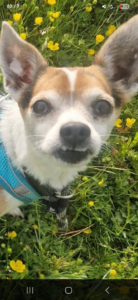 Charlie
