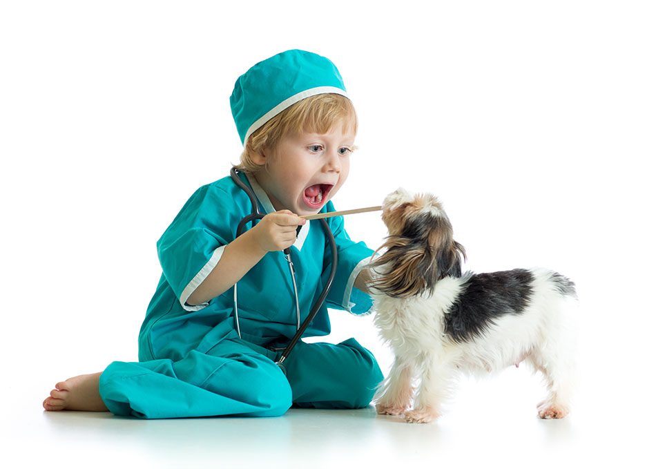 Child playing doctor with a dog